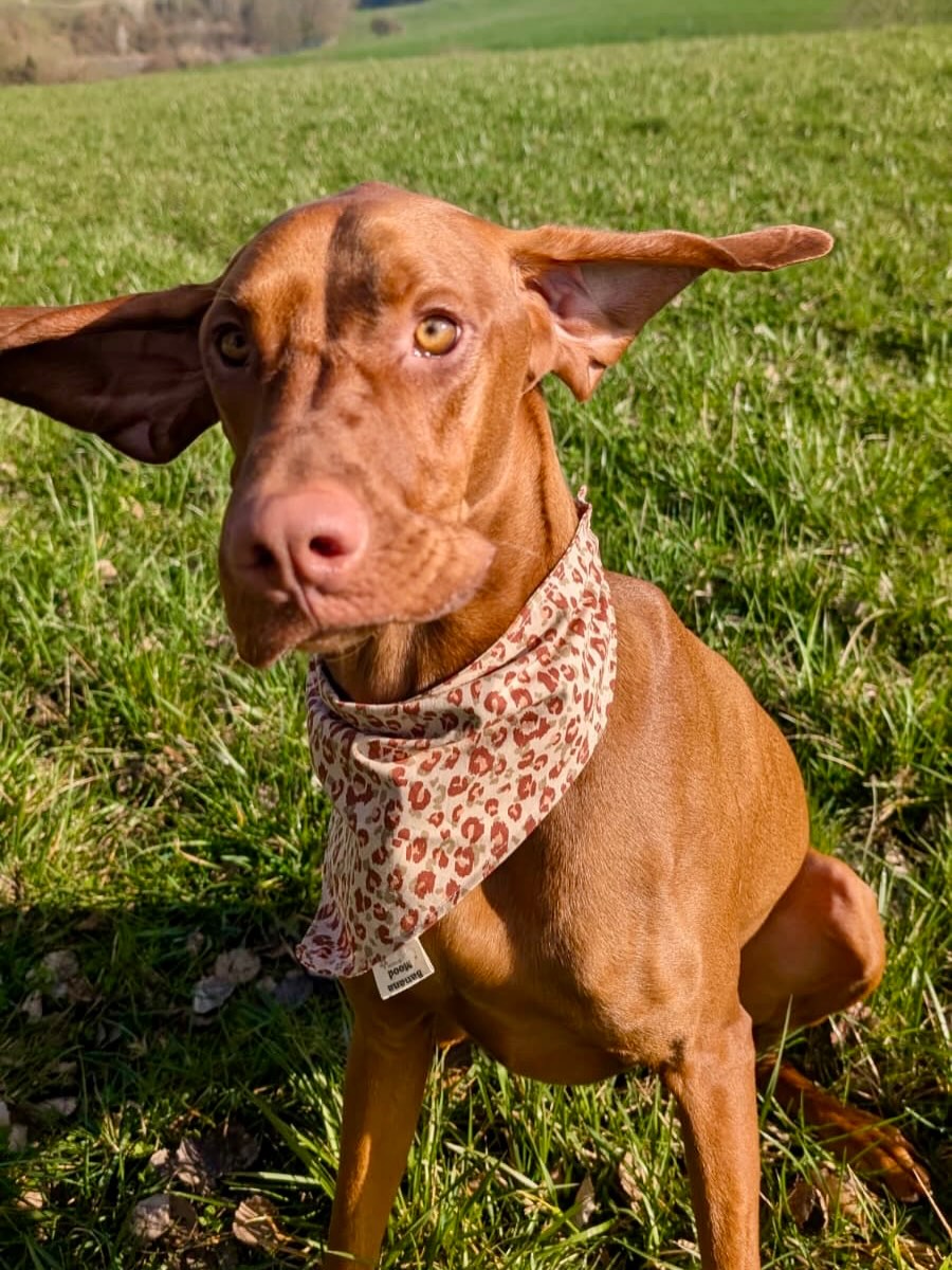 Velcro avec son bandana